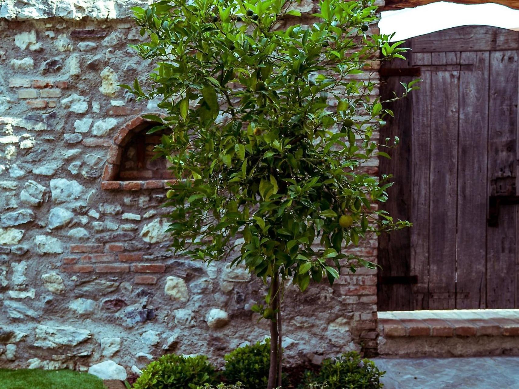 Villa Fontanelle Gardapartments Polpenazze del Garda Extérieur photo